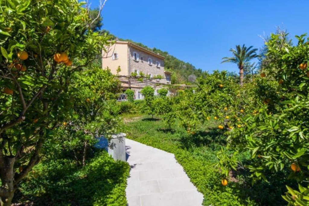 Son Llempaies, Finca For 12 Sóller Zewnętrze zdjęcie